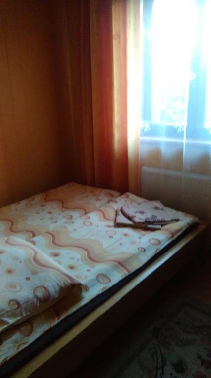 Przytulny Kat Apartman Białowieża Kültér fotó